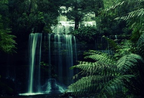 waterfall, forest, tree, river, water