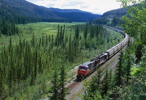 nature, train, railroad, forest