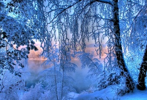 winter, snow, ice, water, river, tree
