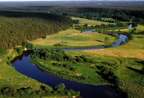 river, delta, green, tree