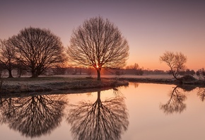 trees, frosty, lake, water, reflextion