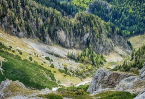 valley, mountain, tree, rock, green