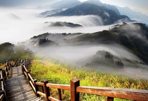 hills, mist, stand, mountain