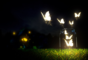 beautiful, glowing, butterflies, grass, bottle, blur, ground, night, dark s ...