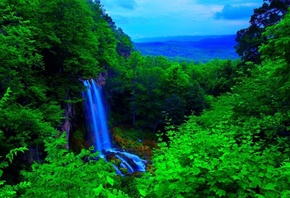 waterfall, forest, tree, river, water