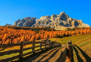 fence, path, mountain, autumn