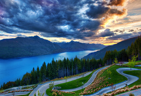 dunedin, new zealand, lake, tree, clouds