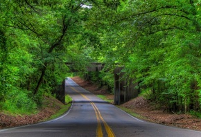 road, trees, bridges, forest, green