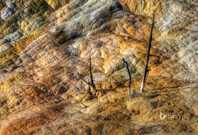 Mammoth Hot Springs,   , , , , , , 