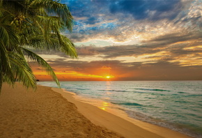 sunset, beach, sea, shore, paradise, tropical, sand, , , ,  ...