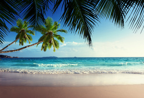tropical, paradise, sunshine, beach, coast, sea, sky, blue, emerald, ocean, palm, summer, sand, vacation, , , , , , , , , 