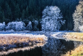 cold, river, snow, winter