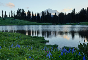 Tipsoo Lake, Mount Rainier, Mount Rainier National Park, Washington, Lake T ...