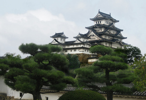 Castle egret, Himeji, Castle, Hyogo, japan