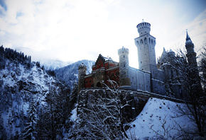 Alps, Germany, Neuschwanstein Castle, Bovary, Winter, , ,  , , 