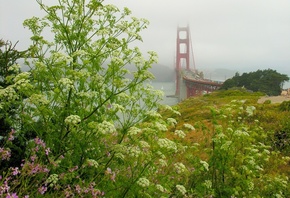 The Golden Gate Bridge, Fort Scott, State of California