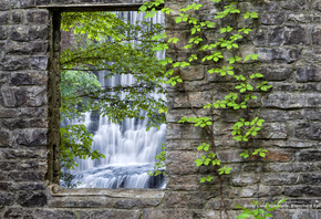Waterfall, Nature, Landscapes, Wall, Stones, Leaves, Vines, Arkansas, U.S