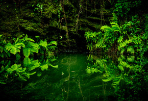 Pescadero Creek, ,    State Park, , 