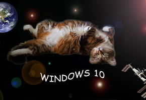 windows 10, 