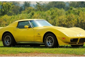 Corvette, Stingray, , 