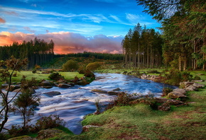  -  , Devon, Dartmoor  , , , ,  ...