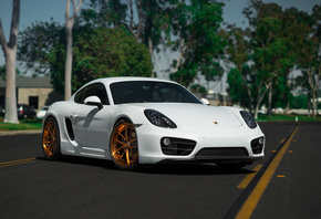 Porsche, Cayman, on, BLK, Wheels