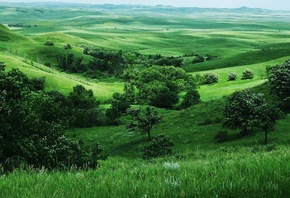 countryside, green, fields, natural