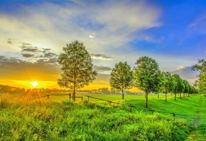 sunset, sunlight, grass, land