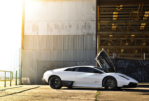 lamborghini, murcielago, sv, white, , , ,  