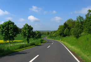 road, tree, green, fields