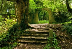 ruin, nature, stair, tree, green