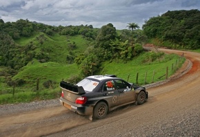 subaru, rally, road, forest