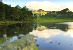 lake, reflextion, tree, water, grass