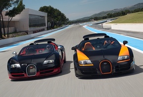 Bugatti, veyron, roadster