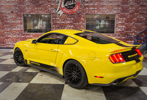 Ford, , , , , 2015, Mustang, R2300, Blue Oval, Edition