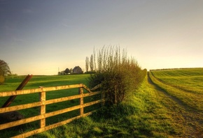 fence, sunrise, grass, tree