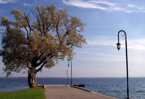 lighthouse, lake, dock, tree, water