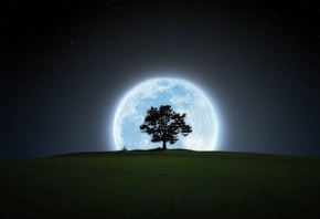 tree, moon, night, stars, sky