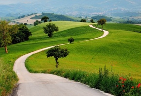 grass, green, road, hills