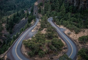 road, asphalt, moutain, forest