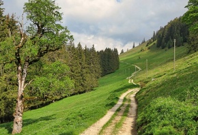path, green, mountain, hills