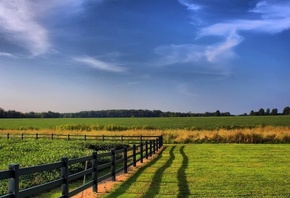 nature, fence, grass, fields