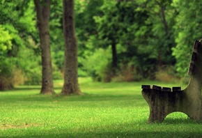 bench, grass, green, park
