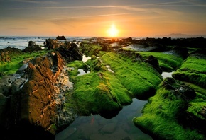 moss, coast, sunrise, clouds