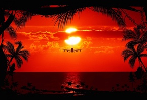 aircraft, sunset, trees, sky