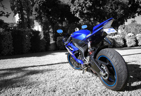 Yamaha, R6, 