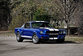 1966, Shelby, Ford, Mustang, GT350R, , , , 