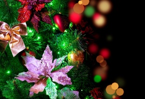 celebration,  , , New year, holidays, winter, 