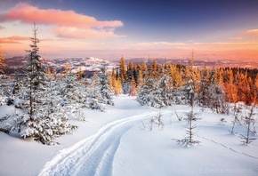 frozen, winter, snow, light, sunset, poland, mountains, route, orange, Toma ...