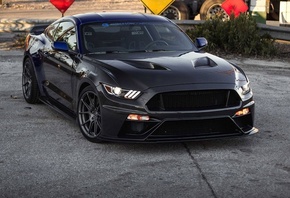 Ford, Mustang, , 